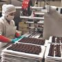 Uso del aire acondicionado en fábricas de chocolate